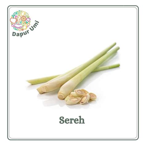 Jual Daun Sereh Serai Sayur Sayuran Segar Purwakarta Shopee Indonesia