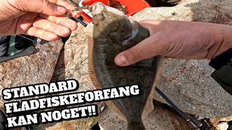 Fladfisk Fiskeri I Gilleleje De Klassiske Fladfiskeforgang Kan Stadig