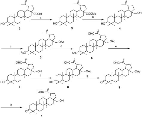 Scheme Partial Synthesis Of Compound From Betulinic Acid