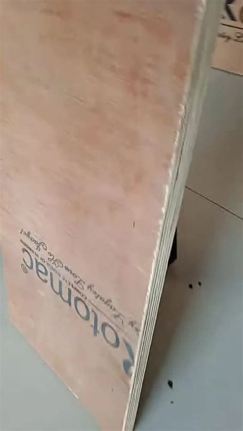 Rotomac Marine Plywood For Furniture Matte At Rs Sq Ft In Vadodara