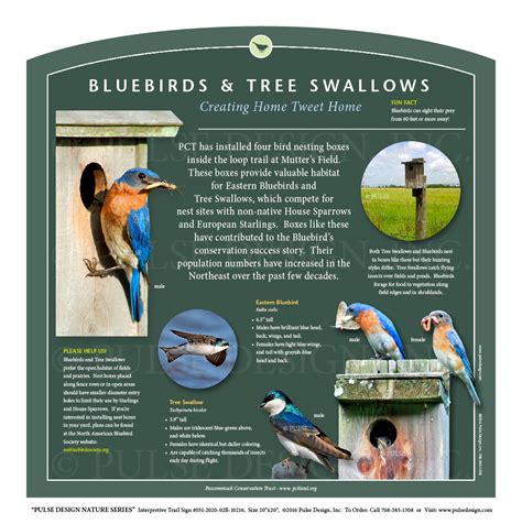 Pdns Bird Conservation Migratory Songbird Nesting Habitat Id Guide