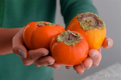 10 интересных фактов о хурме — Zira.uz