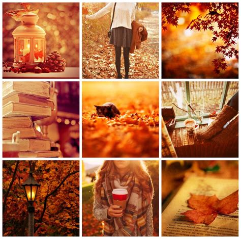 18 Automne Aesthetic