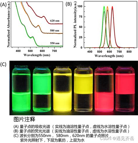 水溶性cdse Zns量子点 表面由亲水配体包裹的核 壳型荧光纳米材料 亲水配体的设计与筛选 Csdn博客