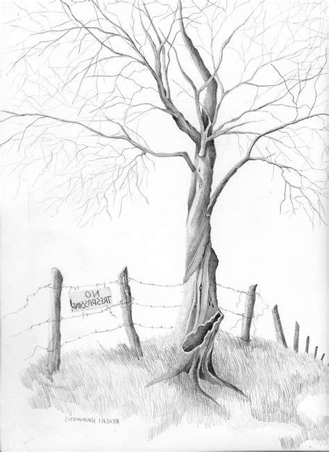 Tree Sketch Simple at PaintingValley.com | Explore collection of Tree ...