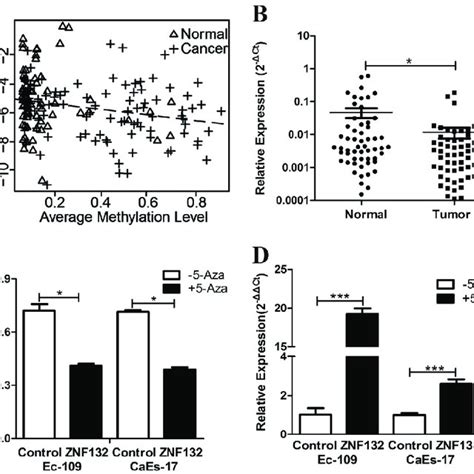 Methylation Status And Gene Expression Of ZNF132 In ESCC Patients And