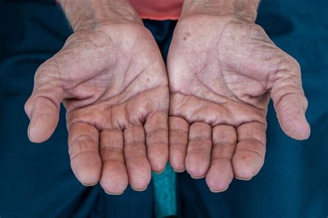 Premium Photo Close Up Of Person Hands