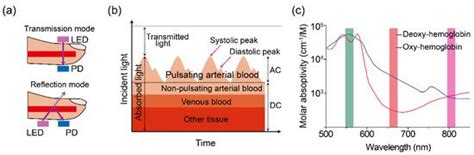 Photoplethysmography Sensors | Encyclopedia MDPI