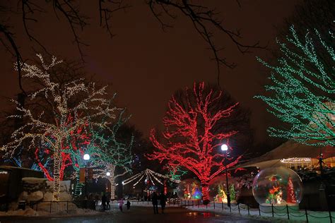 ZooLights in Chicago 2023 - Rove.me