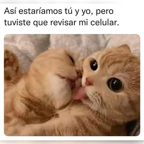 Así Estaríamos Tú Y Yo Pero Tuviste Que Revisar Mi Celular Memes