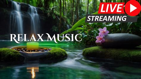 Relaxing Music Live Piano Music Work Spa Study Focus Stress