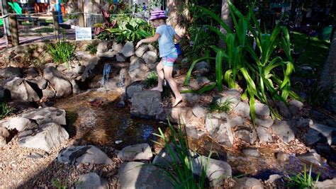 Pondless Systems Peregian Kindy Waterscapes Australia