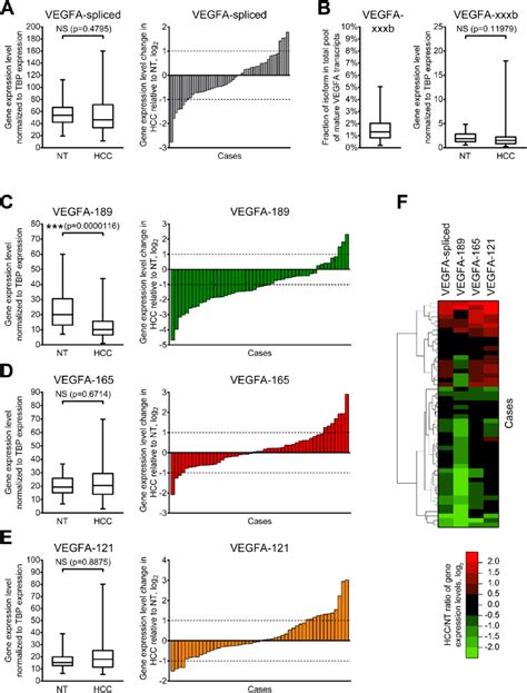 Alterations Of Expression Levels Of Vegfa Isoforms In Hcc Tissue