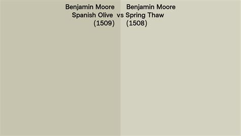 Benjamin Moore Spanish Olive Vs Spring Thaw Side By Side Comparison