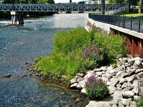 St Joseph River With Walkway And Pedestrian Bridge Mishawaka Indiana