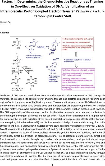 Factors In Determining The Chemo Selective Reactions At Thymine In One