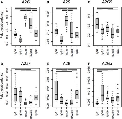 Frontiers The N Glycosylation Of Mouse Immunoglobulin G Igg Fragment Crystallizable Differs