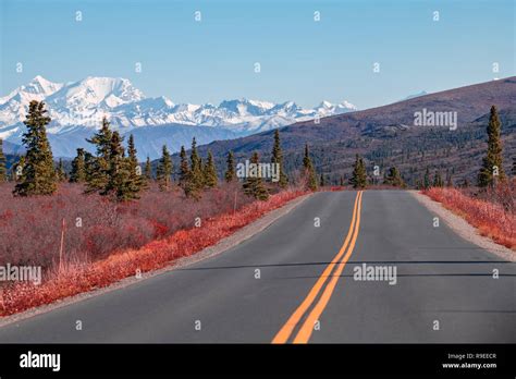 Denali National Park road Stock Photo - Alamy