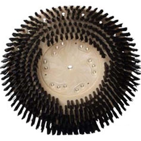 Malish Nylon General Purpose Scrub Brush Carpet Or Hard Surface