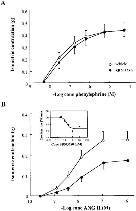 Effect Of Sb 203580 On Ang Ii Induced Contraction Of Rat Aorta Rat