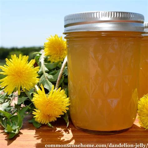 Dandelion Jelly Easy Flower Jelly Recipe With Less Sugar