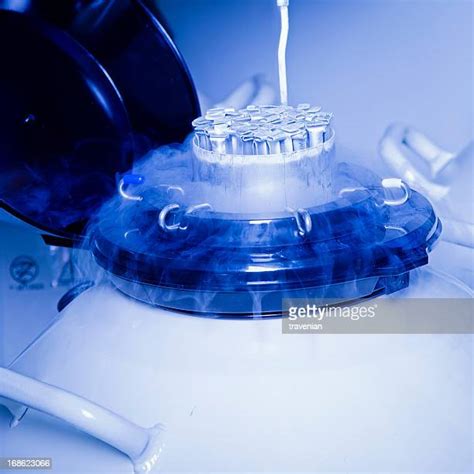 Artificial Insemination Stock Fotos Und Bilder Getty Images