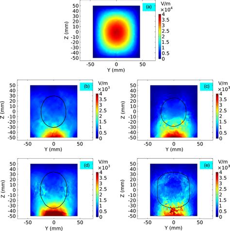 Distribution Of The Microwave Electric Field In Vm In The Absence Of