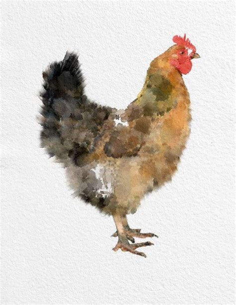 Chicken Watercolor Painting Etsy Paintings Art Prints Chicken