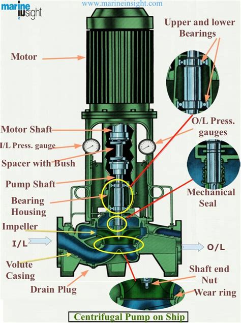 Diagram Vertical Multistage Centrifugal Pump Techno Graphic