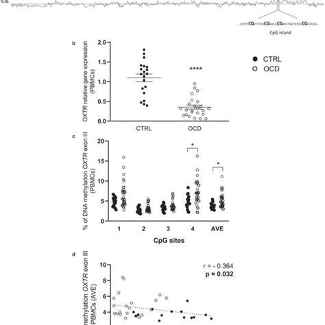 Relative Abundance Of The Bacterial Phyla A Actinobacteria B