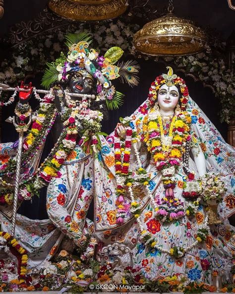 Mayapur TV on Instagram: “Today’s Darshan of Sri Radha Madhava ...