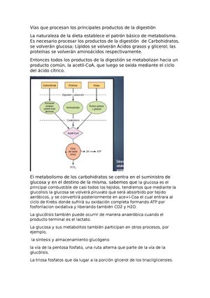 Biouimica pdf bioquímica 1 conceptos básicos unidad 1 Célula