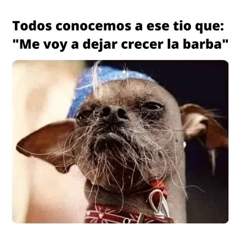 Me Voy A Dejar Crecer La Barba El Vato Meme Subido Por