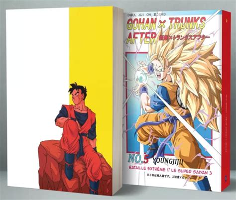 Dragon Ball Gohan X Trunks After Af Tome 05 Manga Traduits En Français Eur 1250 Picclick Fr