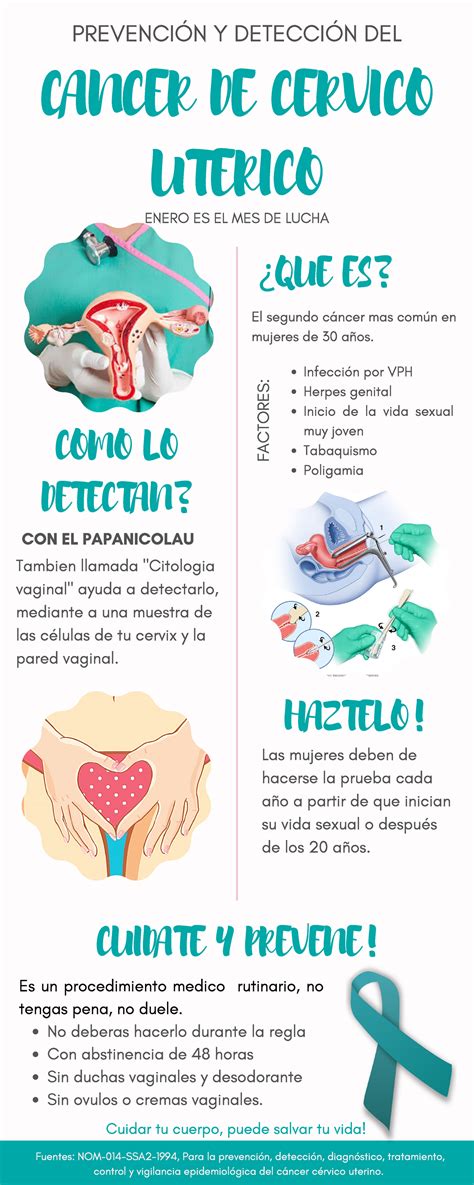 C Ncer Cervicouterino Infograf A Prevenci N Y Detecci N Del Cancer