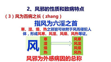 从零开始学中医：41六淫（风邪、寒邪） 哔哩哔哩