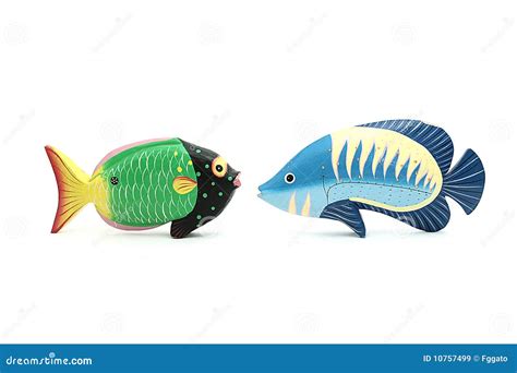 Two exotic fishes facing stock image. Image of hawaii - 10757499