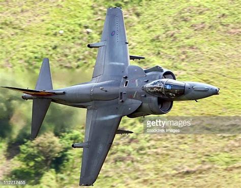 17 Raf Harrier Gr9 Stock Photos, High-Res Pictures, and Images - Getty Images