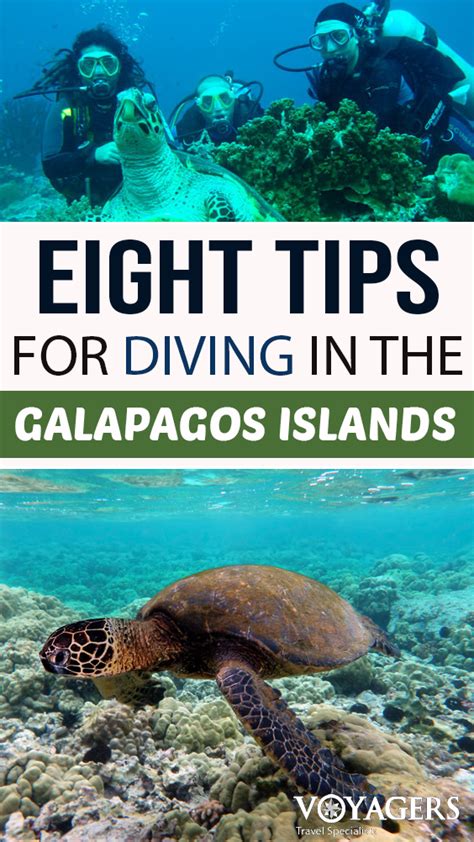 Galapagos diving – Artofit