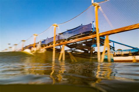 Shooting In The Water At The Kelly Slater Surf Ranch Sarah Lee Photo