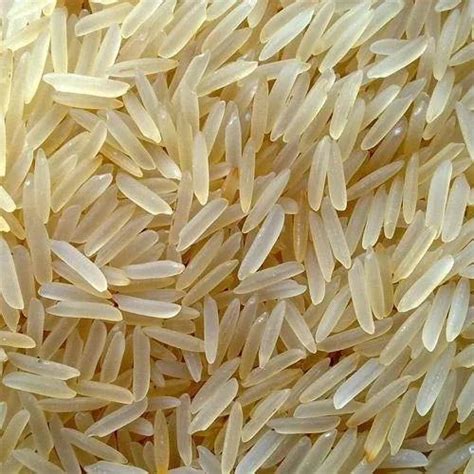 Sugandha Golden Sella Basmati Rice At Rs 60 Kg Golden Sella Basmati