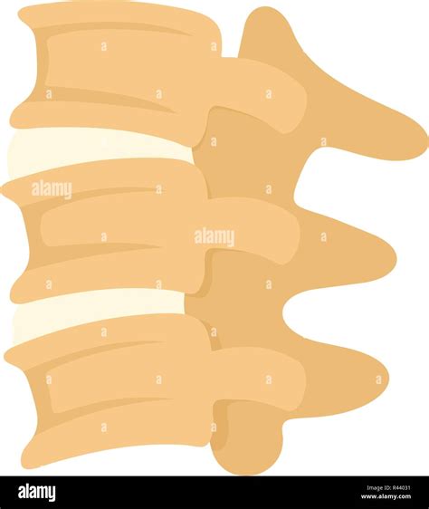 Spinal Column Discs Icon Flat Illustration Of Spinal Column Discs