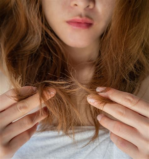 Cabelo Poroso Como Recuperar Beleza Na Web