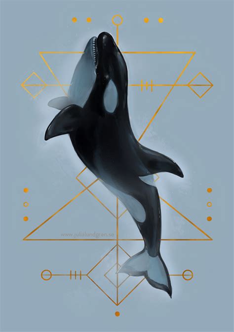 orcinus orca  behance