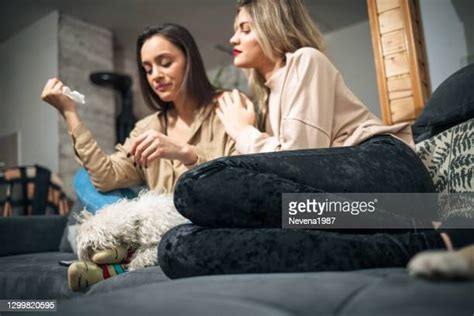 47 Dog Tearing Up Furniture Stock Photos High Res Pictures And Images