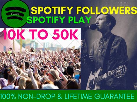 Organic Viral Youtube Spotify Music Promotion And Spotify Followers