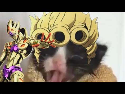 Gato Miando Meme Como O Giorno Gold Experience Requiem YouTube