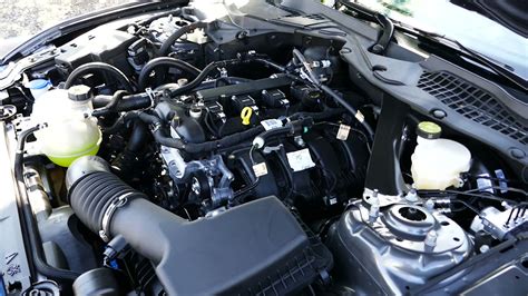 New 2021 Ford Mustang EcoBoost 2 3L Turbocharged I4 Engine Bay Tour