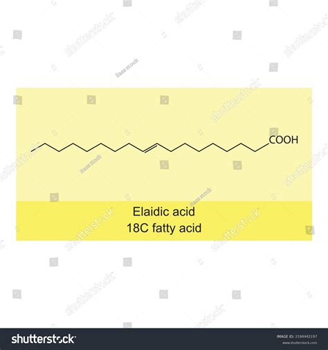 Elaidic Acid 18 Carbon Fatty Acid Stock Vector Royalty Free