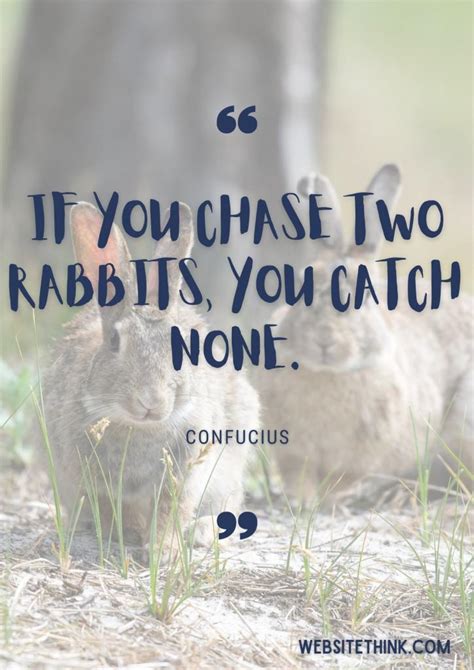 73+ Cute & Cuddly Quotes About Rabbits! 🥇[+ Images!]